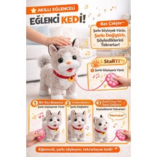 Ziventa Müzikli Yürüyen Havlayan Yalayan Kuyruk ve Başını Sallayan Ses Kaydını Tekrarlayan Peluş Kedi