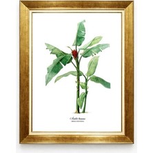 Tablore Botanik Muz Yaprağı Scarlet Banana Çerçeveli Tablo Iskandinav Tarzı Duvar Dekorasyonu