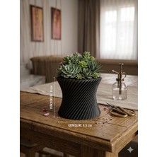 Triora Design Twist Mini Saksı  8 cm Dekoratif Sukulent ve Kaktüs Saksısı Modern 3D Tasarım Pla