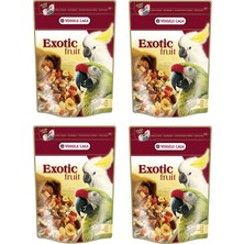 Versele-Laga Versele Laga Exotic Fruit Meyve Karışımı Papağan ve Paraket Yemi 600 Gr. x 4 Adet