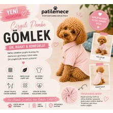 Patilemece Pembe Çizgili Poplin Köpek Gömleği
