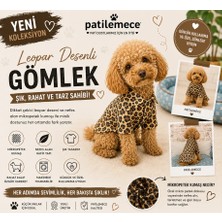 Patilemece Leopar Desenli Köpek Gömlek