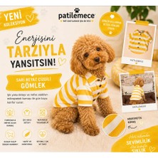 Patilemece Sarı Beyaz Çizgili Köpek Gömleği