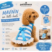 Patilemece Mavi Beyaz Enine Çizgili Köpek Elbisesi