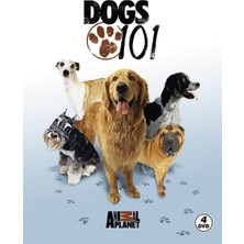 Mabelme Store Dogs 101 - Köpekler