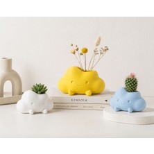 Msv Studio 3d Bulut Saksı Seti 3’lü | Dekoratif Mini Sukulent ve Kaktüs Saksıları | Masaüstü Dekoru