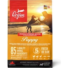 Uravas Store Puppy Tahılsız Yavru Köpek Maması 2 kg
