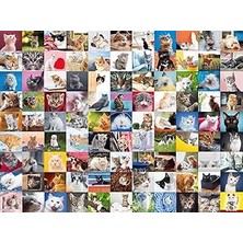 Uravas Store Ravensburger 1500 Parça Puzzle 99 Kedi