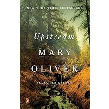 Uravas Store Upstream: Selected Essays
