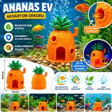 Nicomedia 🍍 Ananas Ev Akvaryum Dekoru – Balıklar Için Eğlenceli Saklanma Alanı
