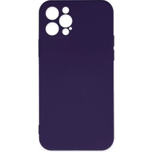 SDT Newface Apple iPhone 12 Pro Max Kılıf Nano Içi Kadife Silikon - Mor