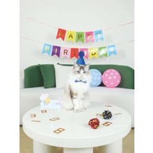 SDT Group Party Tıme Erkek Kediler Için Doğum Günü Seti