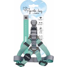 SDT Group Gentle Dog Triangle Göğüs Tasması Green (Xs)