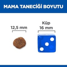SDT Group Hill's Plan Hipoalerjenik Yetişkin Orta Irk Somonlu Köpek Maması 12KG