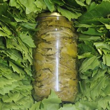 Sarıcaovadan Asma Yaprağı 400 G Sapsız Damarsız Tuzsuz