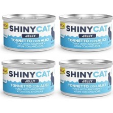 SDT Group Gimcat Kedi Yaş Maması Shinycat Jelly (Jöle Içinde) Ançüezli Ton Balığı 70 gr x 4 Adet