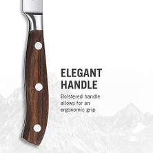 SDT Group Mutfak Bıçağı Biftek Bıçağı Dövülmüş Gül Ağacı Normal Hediye Kutusu, 12 Cm, 7.7200.12 G