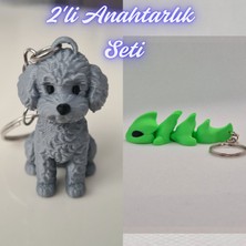 3D Atölye Maker  Gümüş Poddle Köpek ve Yeşil Esnek Ejder Anahtarlık