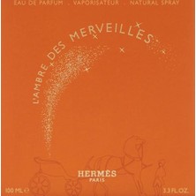 SDT Group L Ambre Des Merveilles Edp 100 ml Kadın Parfüm 1 Paket (1 x 100 Ml)