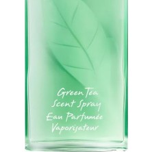 SDT Group Arden Green Tea Scent Spray 100ML