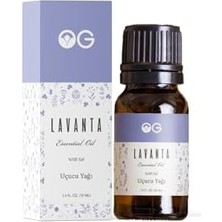 SDT Group Og Lavanta Yağı 10 ml