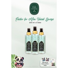 SDT Group 3'lü Body Splash Factor 250 ml ve Rosıe Pamuk 60'lı