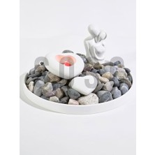 SDT Group Doğal Nazilli Dere Çakıl Taşı, Tamburlanmış Dekoratif Taş, Renkli Dolomit, 2-4 Cm, 3 Kg, Saksı Dibi, Akvaryum ve Bahçe Düzenleme