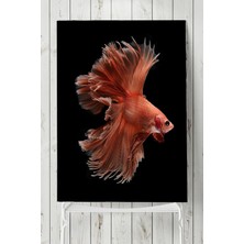 SDT Group (PSTER8030) Sanatsal Balık Hayvan Posteri (70X100CM)