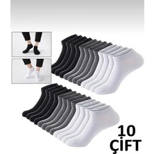 Organix Home Erkek Çorap 10 Çift Pamuklu Renkli Erkek Patik Çorap Bilek Boy