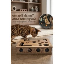 Die Grup Kedi Tırmalama ve Oyun Kutusu, Interaktif Kullanım Için