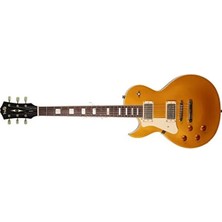 Die Grup Elektro Gitar, Gold Top Renk Seçeneği ile