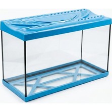 Kaia Life Akvaryum Mavi 65 cm