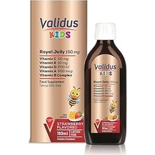 SHC4200 Validus Jelly B12 + B3 + Folic Acid 150 ml Şurup
