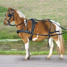 Waldhausen Pony ve Shetland Sentetik Tek At Koşum Takımı