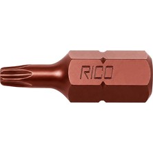 RICO M5 Bits Uç Mıknatıslı 30 x 10 mm