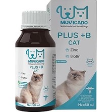 Uravas Store Kedi Tüy Sağlığı Damlası Plus +B Kediler Için Tüy ve Tırnak Sağlığını Destekleyen Multivitamin 50ML