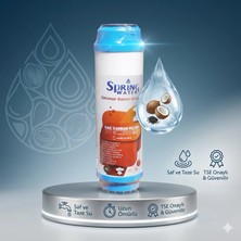 Spring Water 10inc GAC Filtre