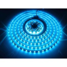 Ookay Led 5050IÇ Mekan Şerit LED Mavi 5 Metre