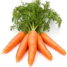 Hace Bazaar Sarı Havuç Tohumu 10 gr