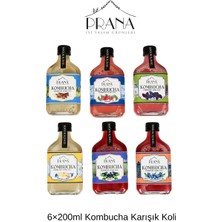 Prana 6×200ML Kombucha Karışık Koli (Zencefil-Limon, Tarçın-Karanfil, Reyhan, Ahududu, Aronya, Yaban Mersini)