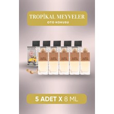 Gloria Perfume Tropikal Meyveler Oto Kokusu 5x8 ml Ahşap Başlıklı Kolay Kullanım