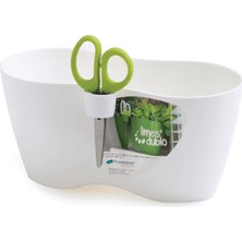 Prosperplast Limes Dublo Plastik Çiçek Saksısı Beyaz