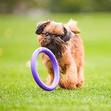 Hype Store Puller Mını Interaktif Köpek Oyuncağı (2 Halka Set)