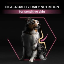 Hype Store Pro Plan Orta Yetişkin Köpek Maması Somonlu, 14 kg