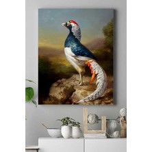 Hype Store (PSTER16792) Kuş Sanatsal Kanvas Tablo 50 x 70