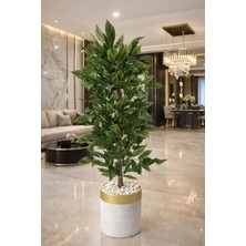 Altun Çiçekcilik Ceviz Ağacı 160 cm Lux Beyaz Gold Metal Saksı Dahıl