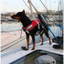 UltraMint Yumuşak ve Şık Köpek Can Yeleği, 20-40KG, L Kırmızı
