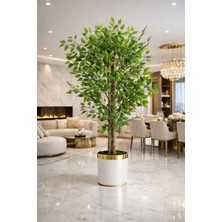 Altun Çiçekcilik Benjamin 150 cm Ağaç Lux Metal Saksı Dahildir