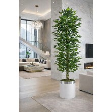 Altun Çiçekcilik Benjamin 150 cm Yapay Ağaç Lux Metal Dekoratif Saksı Dahil
