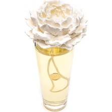 Missi 400 ml Konik Cam Şişe Ekru Seramik Taşlı Oud Vanilya Oda Kokusu